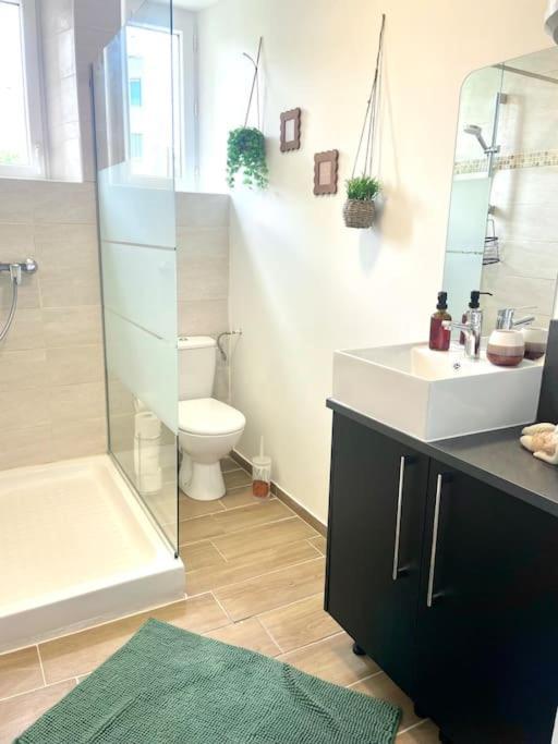 Logement Cosy Et Jardin Saint-Laurent-en-Royans Kültér fotó